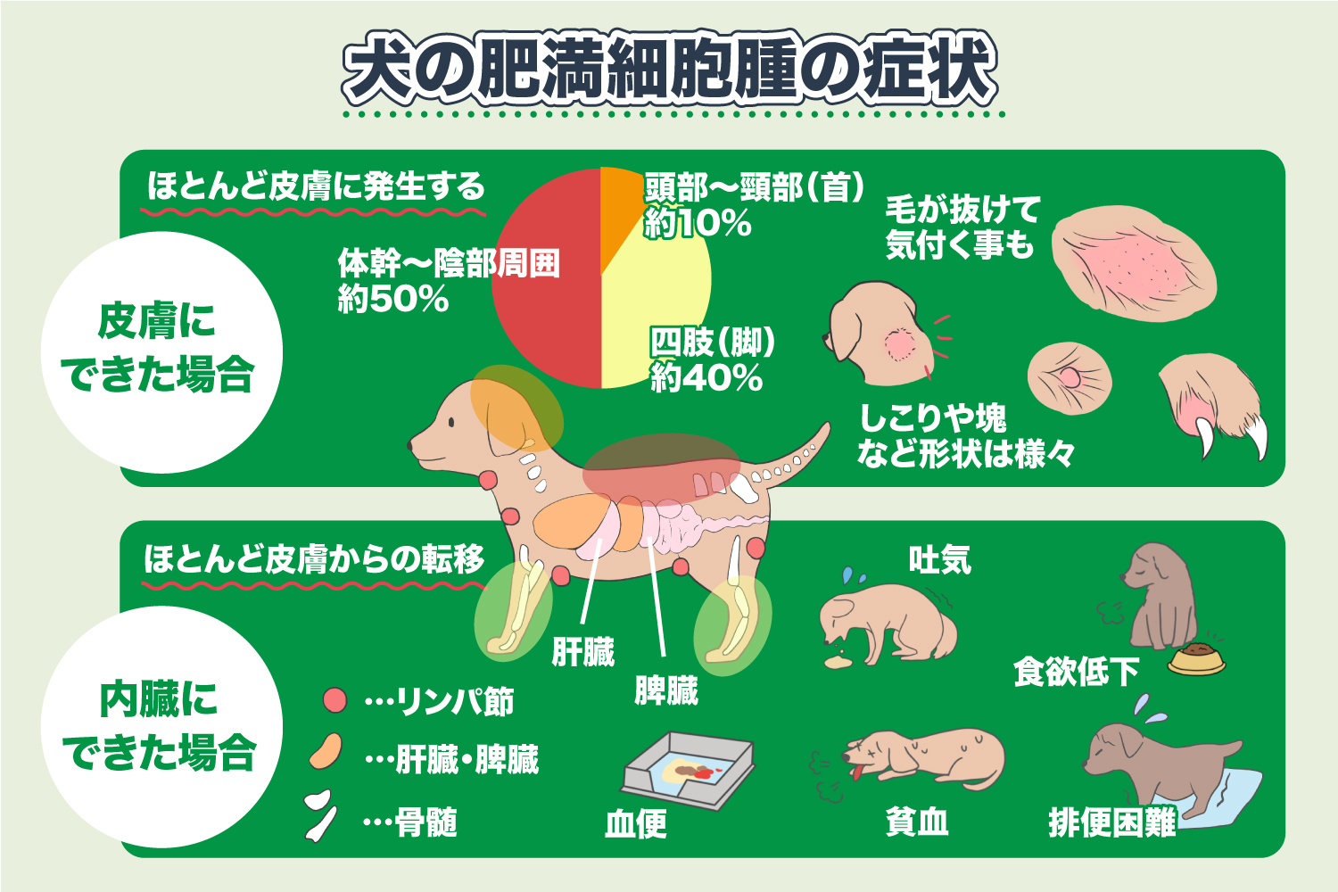 Repräsentative Behandlungsmethoden für Melanome bei Katzen