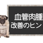 犬の血管肉腫の改善方法