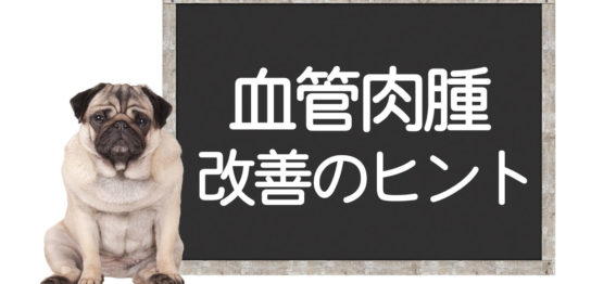 犬の血管肉腫の改善方法