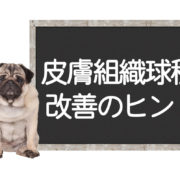 犬の皮膚組織球種の改善方法