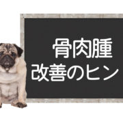 犬の骨肉腫の改善方法