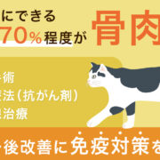 猫の骨肉腫 ― 悪性腫瘍の原因や症状、手術や抗癌剤、改善のヒント