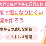 犬猫の癌再発率は50%以上 免疫対策で癌になりにくい体内環境を作ろう
