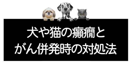 癲癇発作と癌併発時の対処法