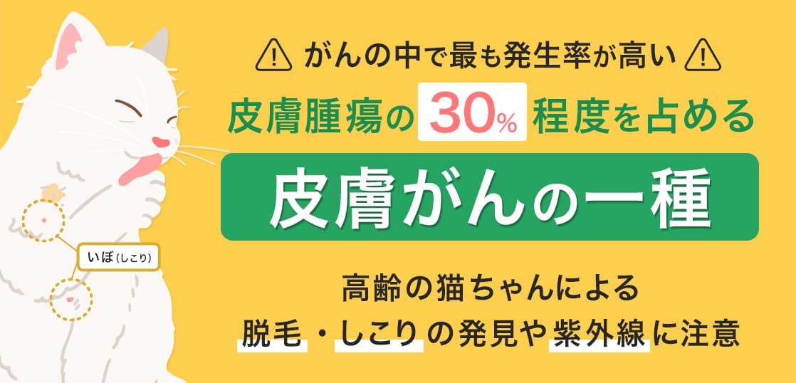 がんの中で最も発生率が高い 皮膚腫瘍の30%程度を占める 皮膚がんの一種