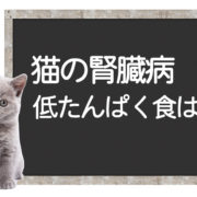 猫の腎臓病の低たんぱく食