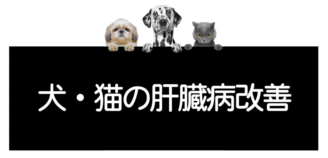 犬猫の肝臓病克服方法