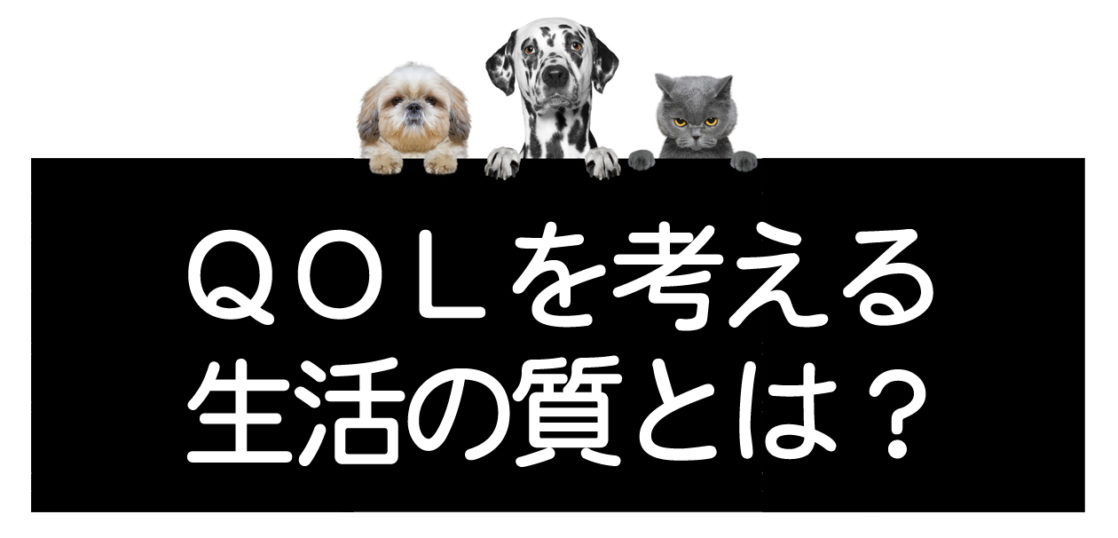 犬猫の生活の質QOL