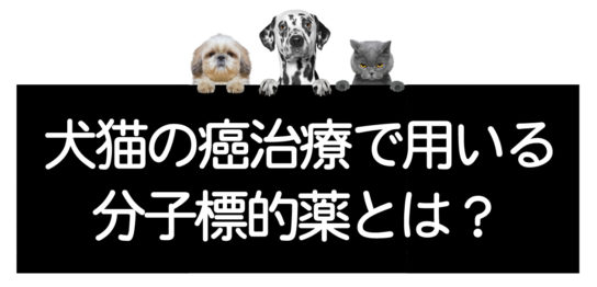 犬猫の分子標的薬