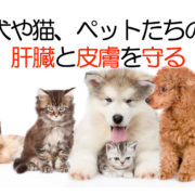 犬・猫・ペットのプラセンタ