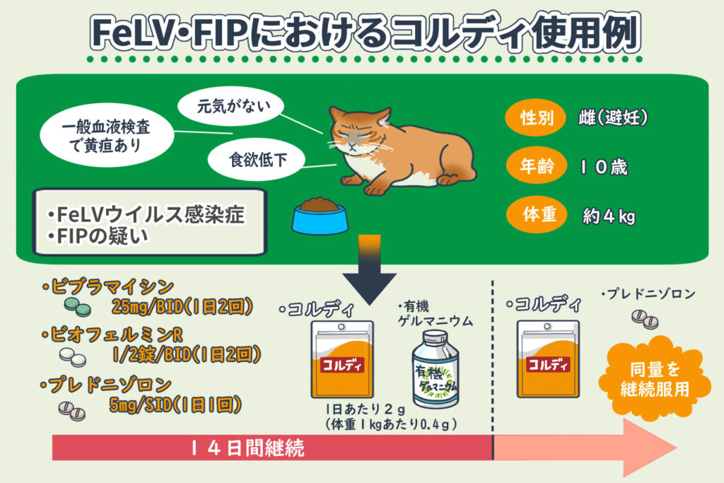 Beispiele der Anwendung von Cordy bei FeLV und FIP